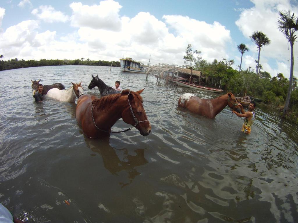 Cama, Cafe E Aventura Hotel Barreirinhas Luaran gambar